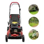 Self-Propelled Gas Lawn Mower with Bagger