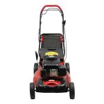 Self-Propelled Gas Lawn Mower with Bagger