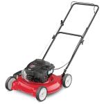 20-Inch Gas Push Lawn Mower with Engine Oil