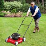 20-Inch Gas Push Lawn Mower with Engine Oil