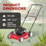 20-Inch Gas Push Lawn Mower with Engine Oil