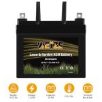 Weize 12V AGM Battery for Lawn Mowers and Tractors