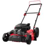 PowerSmart 21" Gas-Powered Walk-Behind Lawn Mower