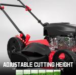 PowerSmart 21" Gas-Powered Walk-Behind Lawn Mower