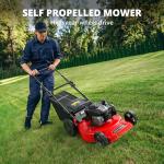 PowerSmart 22-Inch Self-Propelled Gas Lawn Mower