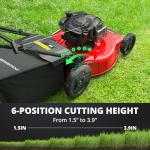 PowerSmart 22-Inch Self-Propelled Gas Lawn Mower