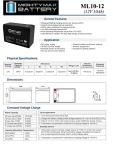 Mighty Max 12V 10AH SLA Replacement Battery