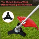 2-in-1 Gas String Trimmer and Weed Eater