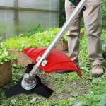 2-in-1 Gas String Trimmer and Weed Eater