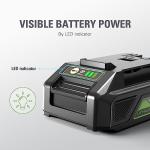Greenworks 24V 2.0Ah Lithium-Ion Battery