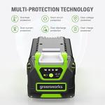 Greenworks 40V Genuine Battery Charger