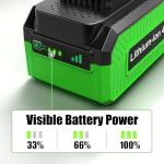 Amitself 4.0Ah Battery for Greenworks 40V Tools