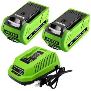 Forrat 40V 6.0Ah Lithium Battery 2-Pack