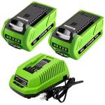 Forrat 40V 6.0Ah Lithium Battery 2-Pack