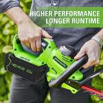 Greenworks 40V Genuine Battery Charger