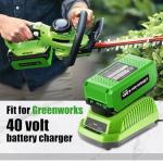 Amitself 4.0Ah Battery for Greenworks 40V Tools
