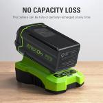 Greenworks 40V Genuine Battery Charger