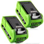 2 Pack 6000mAh Lithium-ion Battery for Greenworks 40V