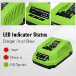 Forrat 40V 6.0Ah Lithium Battery 2-Pack