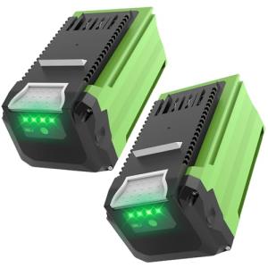 Greenworks 40V 6.0Ah Replacement Battery (2 Pack)