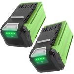 Greenworks 40V 6.0Ah Replacement Battery (2 Pack)