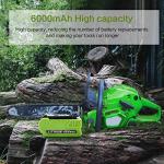 6.0Ah 40V Lithium Battery for Greenworks Tools
