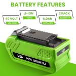 2 Pack 6000mAh Lithium-ion Battery for Greenworks 40V