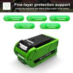 Greenworks 40V 6.0Ah Lithium Battery Replacement (2-Pack)