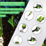 Greenworks 40V 6.0Ah Replacement Battery (2 Pack)