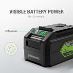 Greenworks 24V Lithium-Ion Battery in Various Sizes