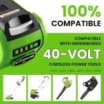 2 Pack 6000mAh Lithium-ion Battery for Greenworks 40V