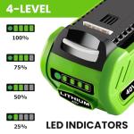 2 Pack 6000mAh Lithium-ion Battery for Greenworks 40V
