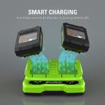 Greenworks 24V Lithium-Ion Battery in Various Sizes