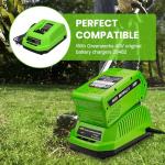2 Pack 6000mAh Lithium-ion Battery for Greenworks 40V