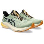ASICS GT-2000® 12 Men's Trail Sneakers