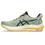 ASICS GT-2000® 12 Men's Trail Sneakers