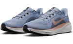Nike Pegasus 41 Women's Road Running Shoes (FD2723-403, Ashen Slate/Armory Navy/B) Size 9