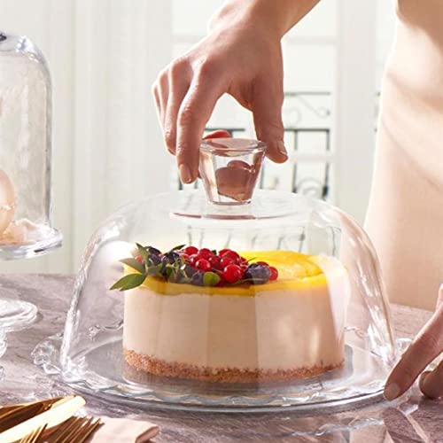 Glass Cake Stand with Dome - 10 inch Glass Multifunctional Serving Platter, Great for Salad Bowl, Cake Plate, Fruit Plate.