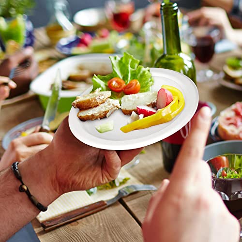 Greconv Paper Plates 6 inch, 100 Pack Paper Plates in Bulk, 100% Compostable Disposable Paper Plates, Small Paper Plates for Dessert, Cake, Appetizer, White Paper Plates Sturdy