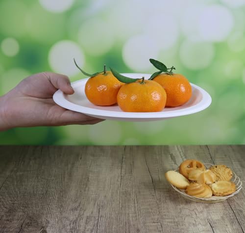 CantaGreen 6 inch Compostable Dessert Plates,100 Count Heavyduty Sugarcane/Bagasse and Bamboo Fibre Biodegradable Disposable Paper Plate