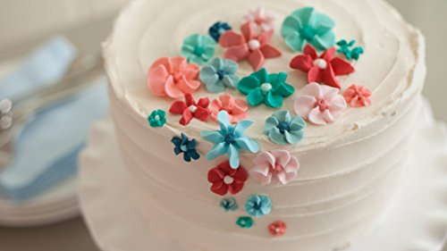 The Wilton Method of Cake Decorating