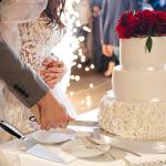 RED-HIT Cake Knife Cutter and Spatula For Cakes Pie & Pastry And Baked Goods Wedding Cake Cutting Server Cake Knife and Server Spatula (Cake Server Set)