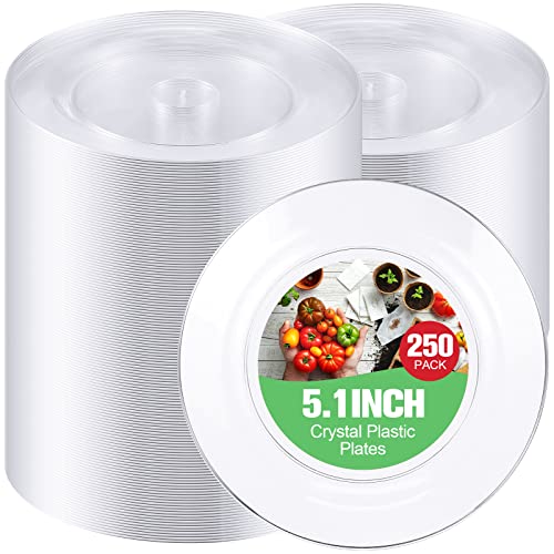 Zopeal 250 Pcs Small Clear Plastic Plates 5 Inch Dessert Appetizer Cake Disposable Plates Heavy Duty Wedding Party Plates for BBQ Travel Events Buffet Hotel Shop Picnic