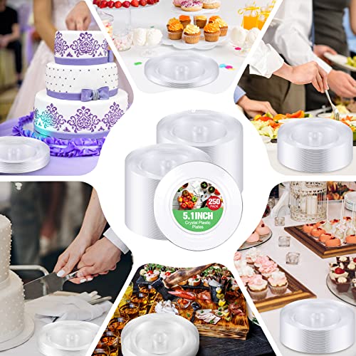 Zopeal 250 Pcs Small Clear Plastic Plates 5 Inch Dessert Appetizer Cake Disposable Plates Heavy Duty Wedding Party Plates for BBQ Travel Events Buffet Hotel Shop Picnic