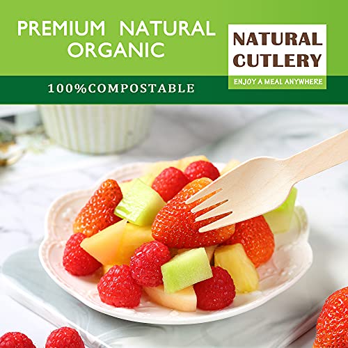 Disposable Wooden Forks -Pack of 100, 6.5" Length-Biodegradable, Natural Wooden Utensils, Great for Parties,Camping,Weddings&Dinner Events (Forks)