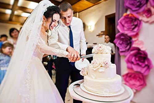 Terra Artisan Wedding Knife Server Set (2 Pieces), Stainless Steel, Comes with Silver Cake Knife and Matching Server, Perfect For Weddings, Birthdays, Cake Cutting Set Comes in a giftable box.