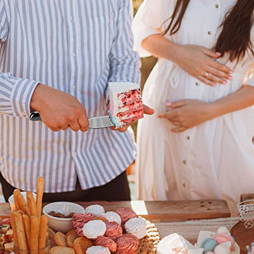 Terra Artisan Wedding Knife Server Set (2 Pieces), Stainless Steel, Comes with Silver Cake Knife and Matching Server, Perfect For Weddings, Birthdays, Cake Cutting Set Comes in a giftable box.