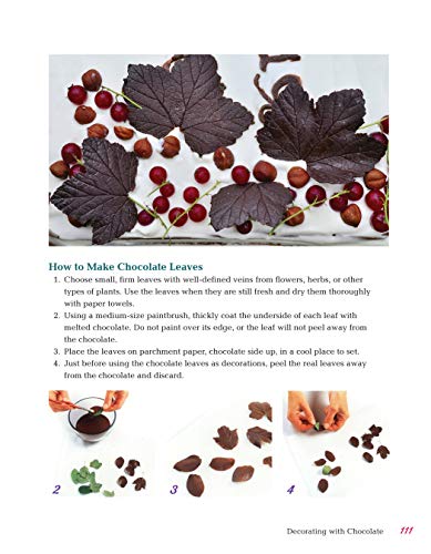 All-in-One Guide to Cake Decorating: Over 100 Step-by-Step Cake Decorating Techniques and Recipes (CompanionHouse Books) Clear Instructions for How to Decorate Cakes, Make Flowers, Use Fondant, & More
