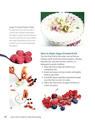 All-in-One Guide to Cake Decorating: Over 100 Step-by-Step Cake Decorating Techniques and Recipes (CompanionHouse Books) Clear Instructions for How to Decorate Cakes, Make Flowers, Use Fondant, & More