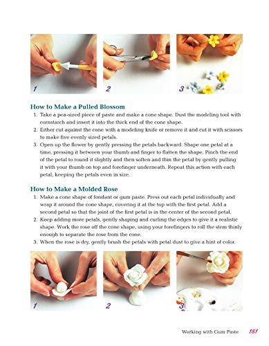 All-in-One Guide to Cake Decorating: Over 100 Step-by-Step Cake Decorating Techniques and Recipes (CompanionHouse Books) Clear Instructions for How to Decorate Cakes, Make Flowers, Use Fondant, & More